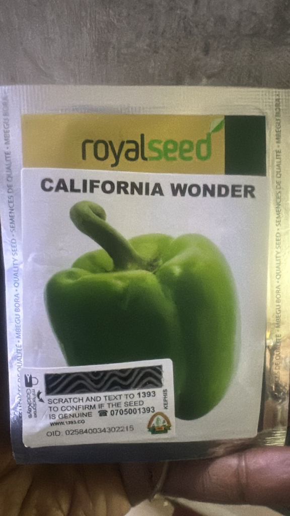 Green Pepper California Wonder 250g