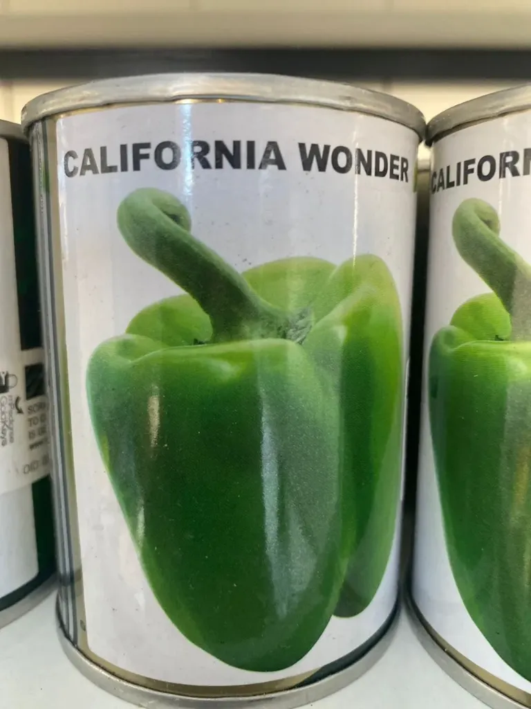 Green Pepper California wonder 50g