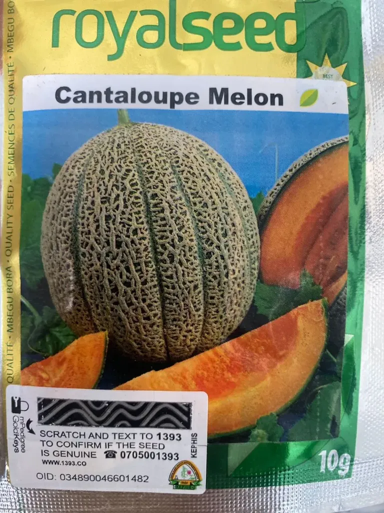 Roy Cantaloupe 10g