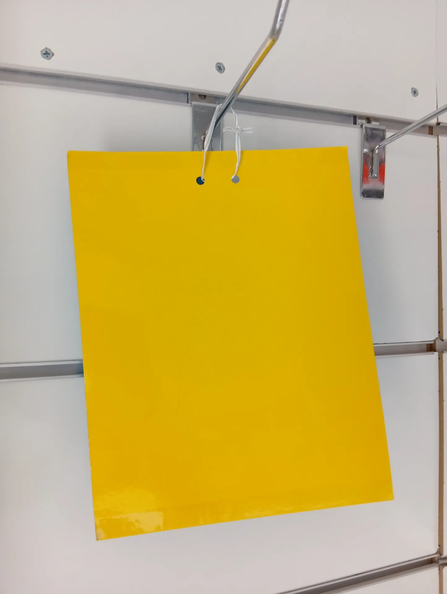 Pest Trap Paper