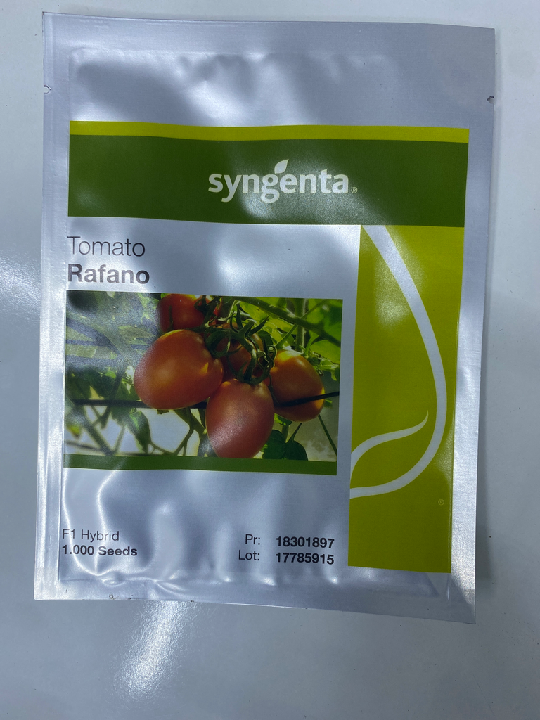 SYN Tomato Rafano F1 1000 Seeds