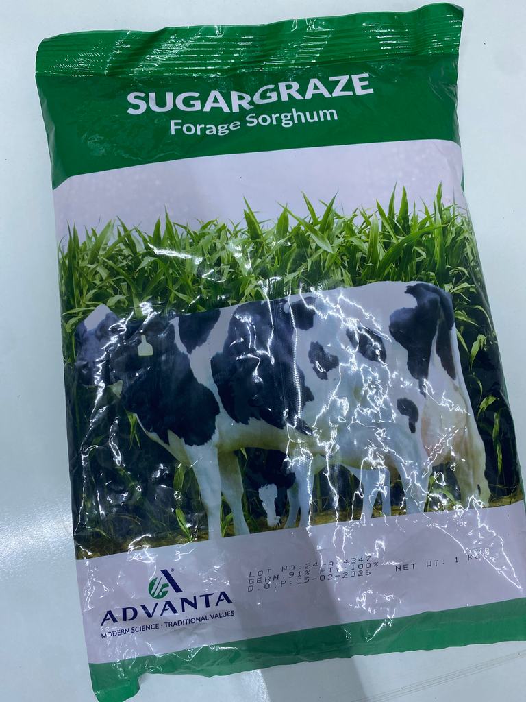 ADV Forage Sorghum Sugar graze 1kg